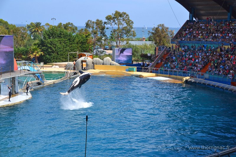Marineland aout 2014 78.JPG - Marineland - Parc d'attractions aquatiques - Antibes - Août 2014